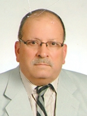 Mehmet GÜL