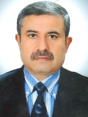 Mehmet TÖRER