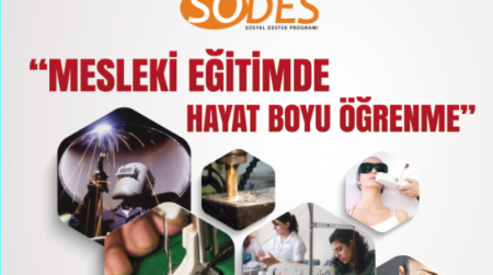 SODES 2013 MESLEKİ EĞİTİMDE HAYATBOYU ÖĞRENME