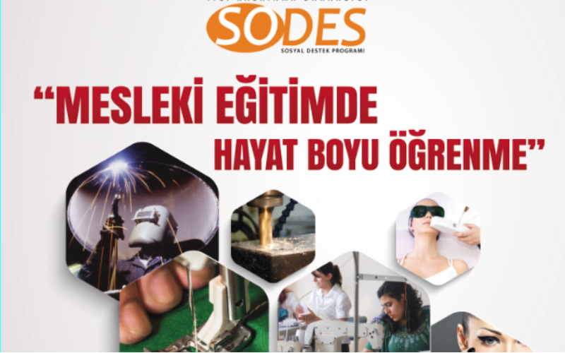 SODES 2013 LIFELONG LEARNING IN VOCATIONAL EDUCATION