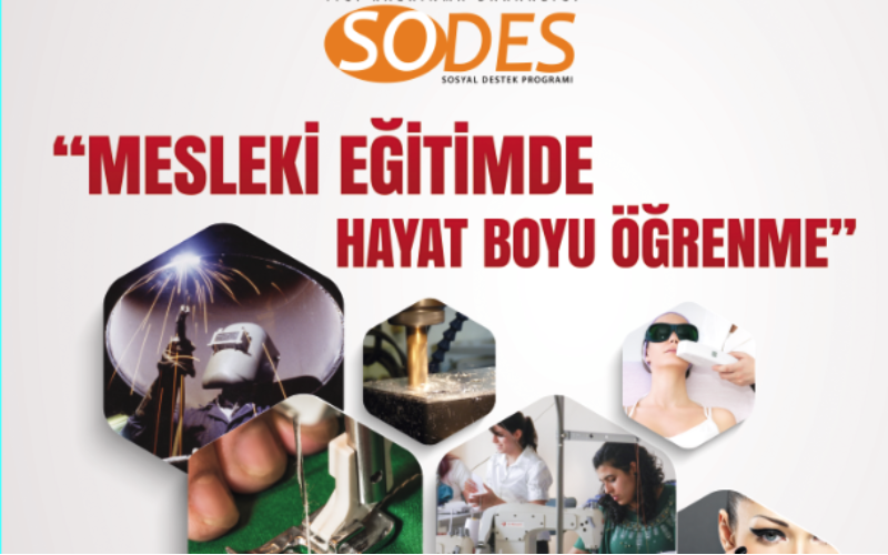 SODES 2013 MESLEKİ EĞİTİMDE HAYATBOYU ÖĞRENME