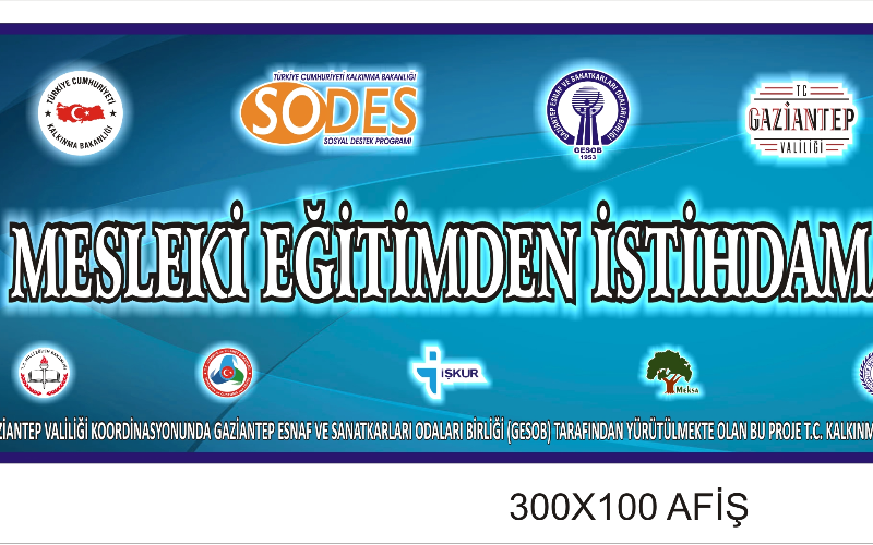 SODES 2017 MESLEKİ EĞİTİMDEN İSTİHDAMA